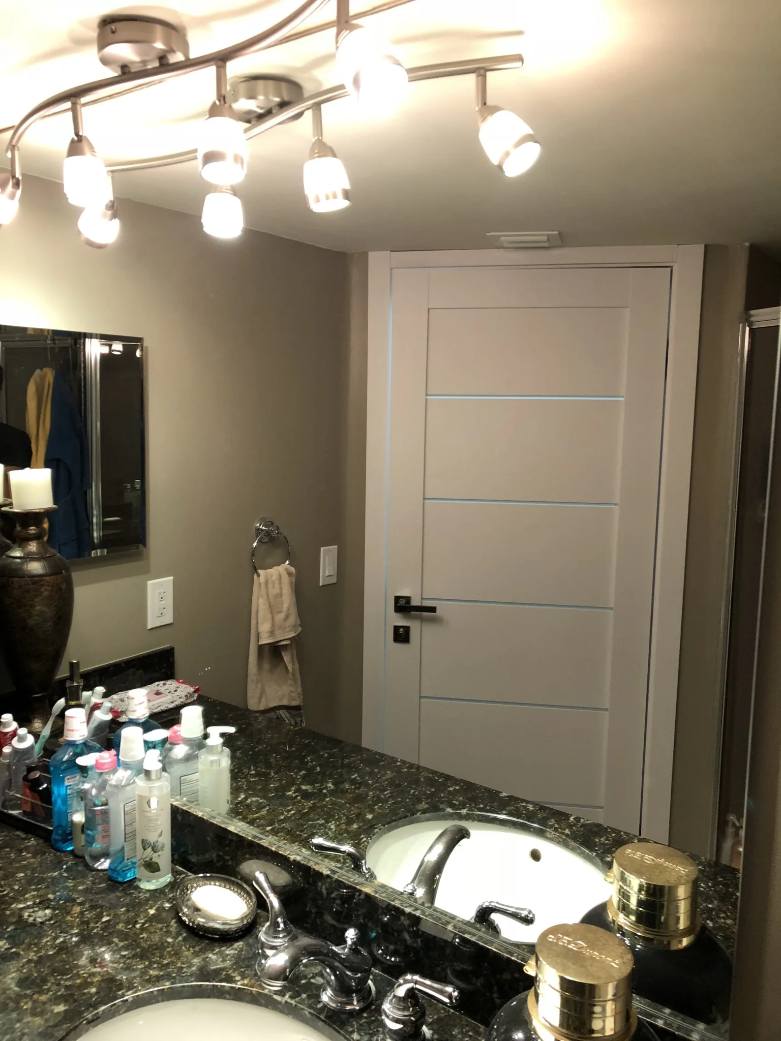 White door with frosted-glass inlays in a bathroom — interior door supplied and installed by Slab & Trim