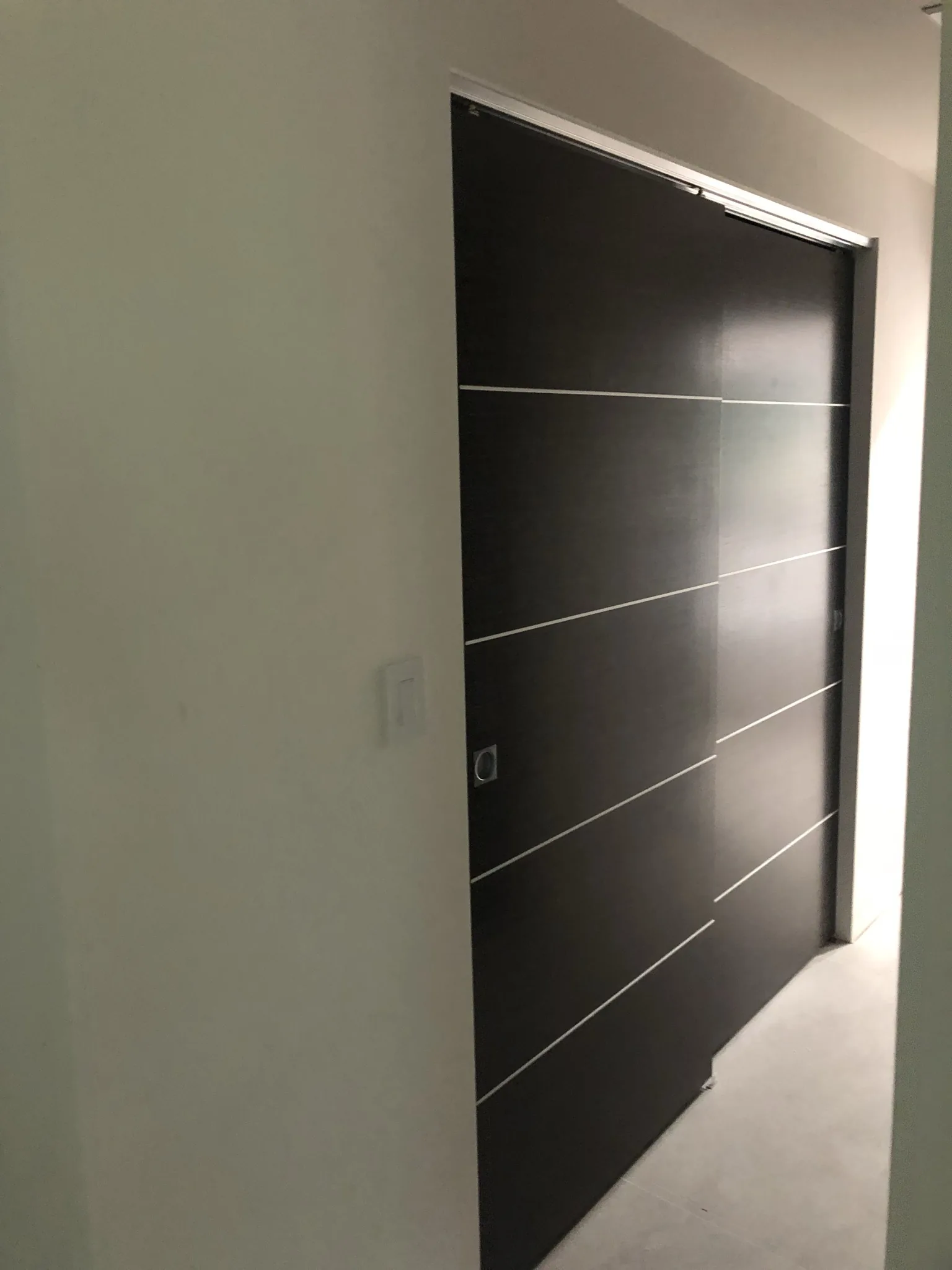 Wenge door with horizontal aluminum inlays — interior door supplied and installed by Slab & Trim