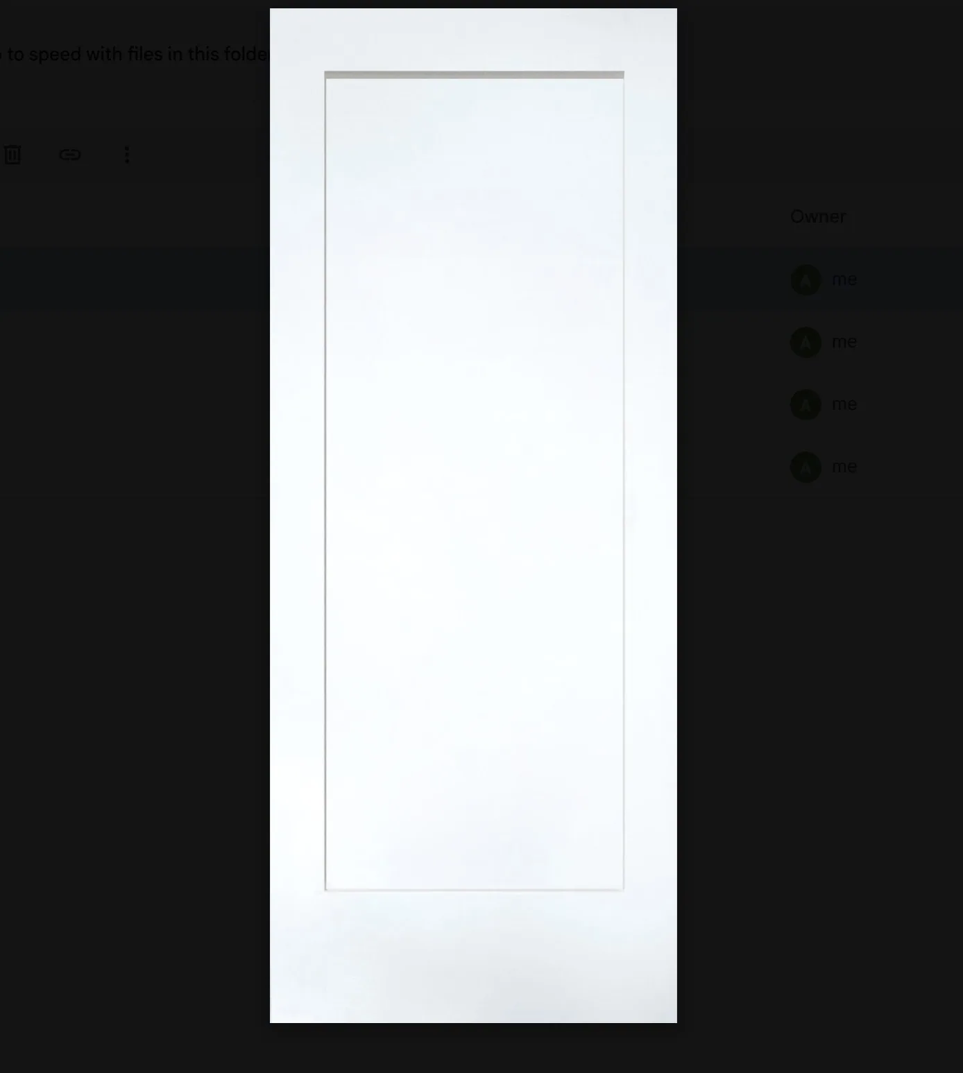 1-Panel Door Slab