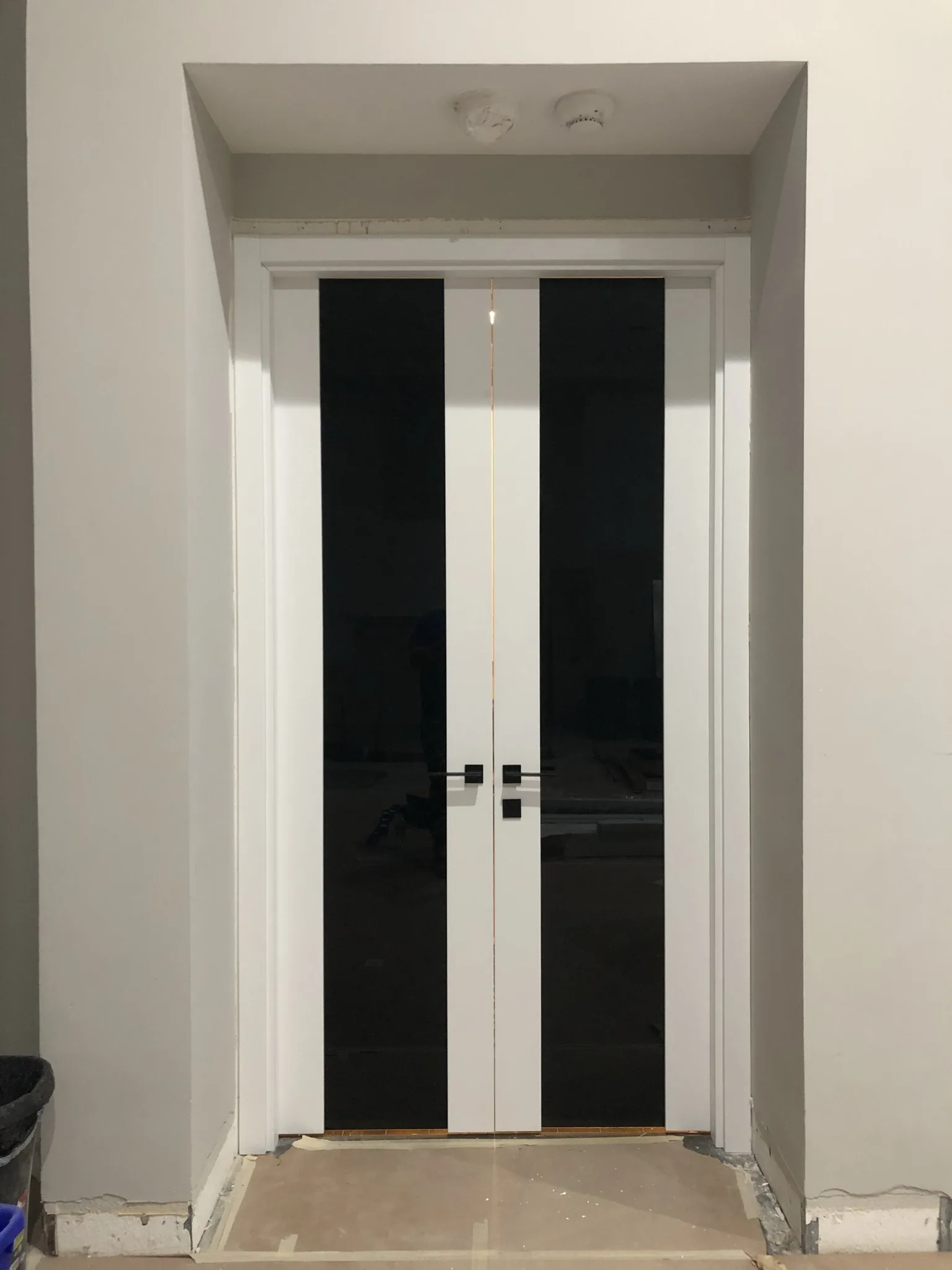 Frameless black double doors — interior door supplied and installed by Slab & Trim