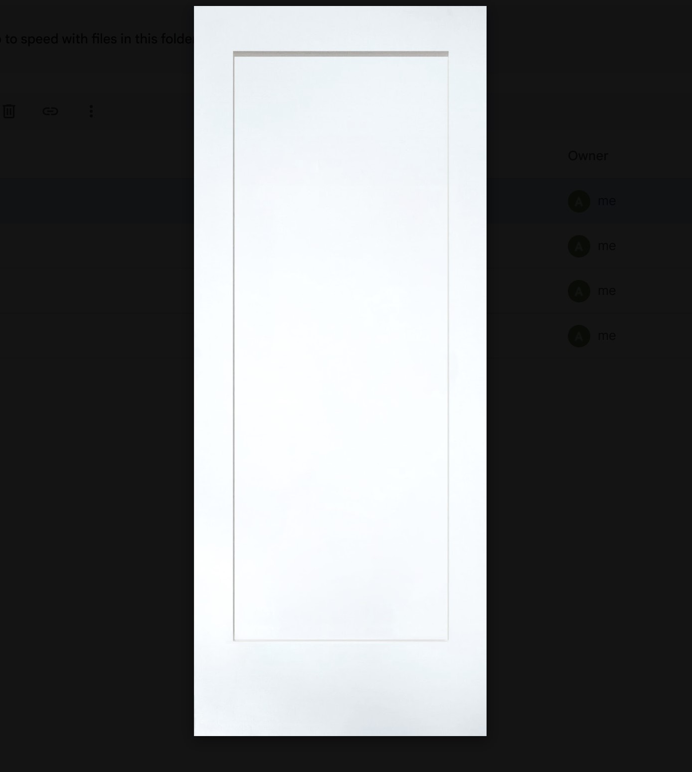 1-Panel Door Slab